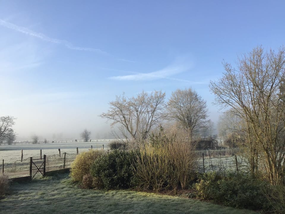 Cottage | View from property