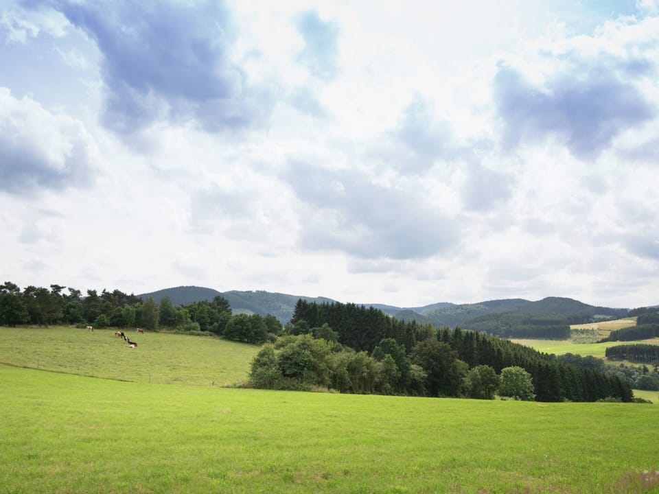 House | View from property