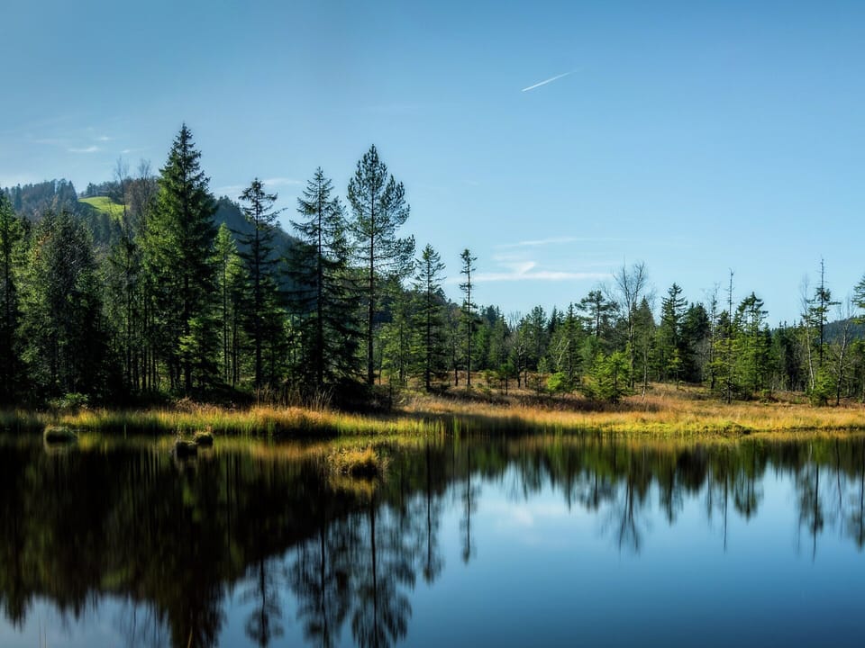 Chalet | View from property