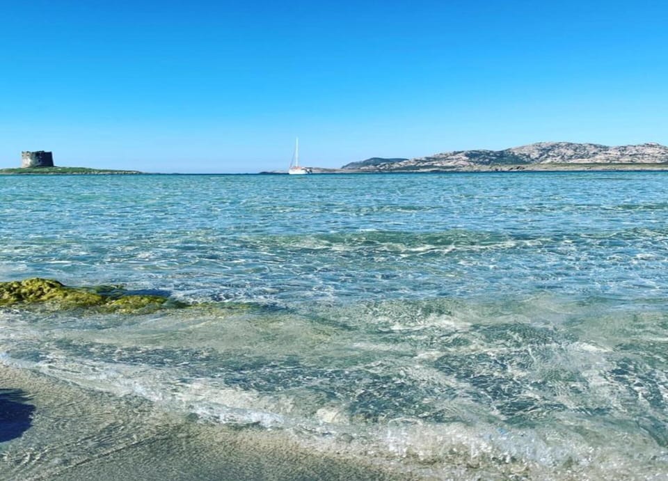 House | View from property