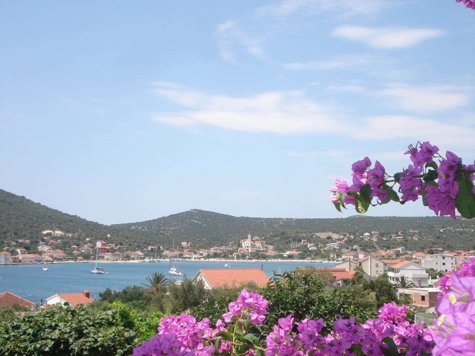 Apartment | View from property