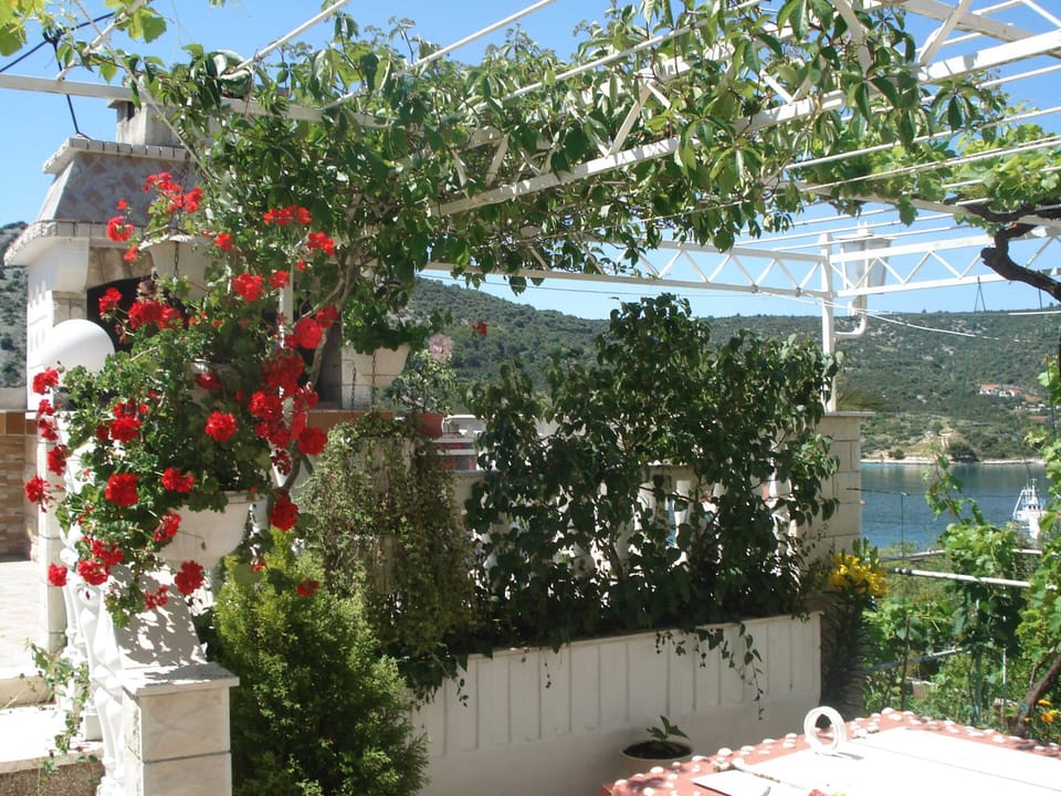 Apartment | Garden
