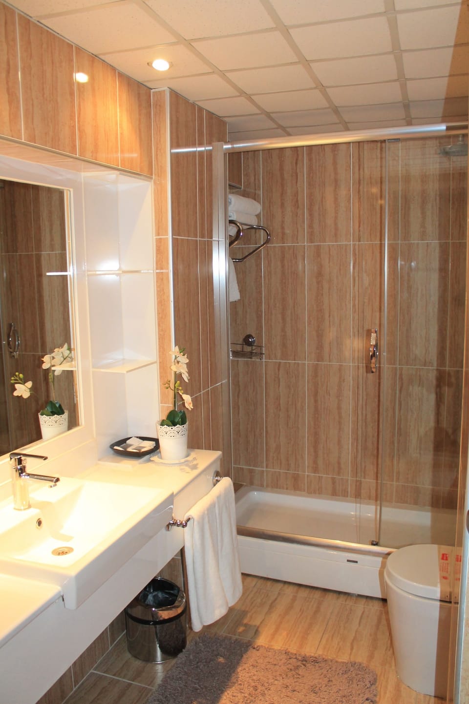 Suite | Bathroom | Free toiletries, hair dryer, slippers, towels