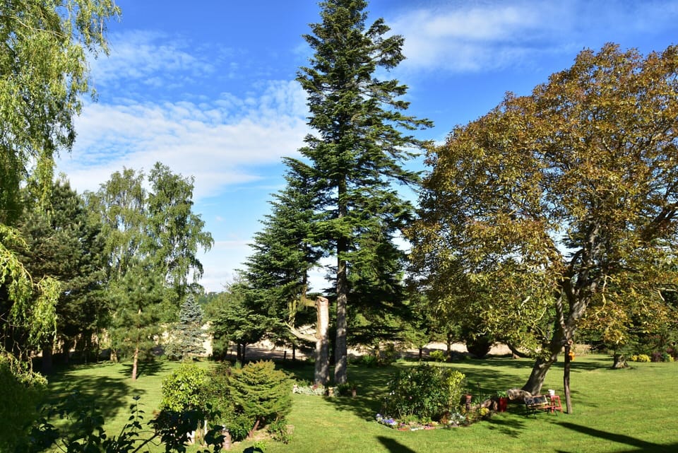 House | Garden