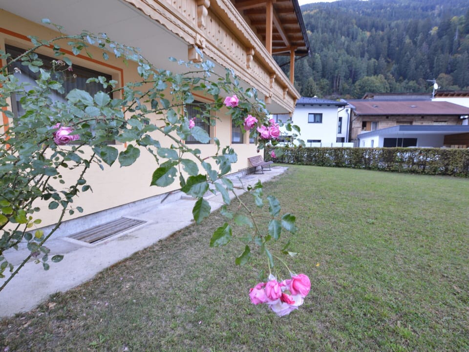 Apartment | Exterior