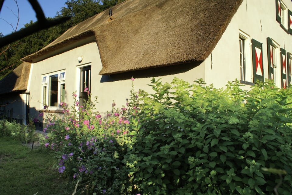 House | Exterior