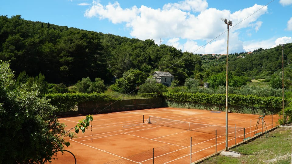 Tennis court