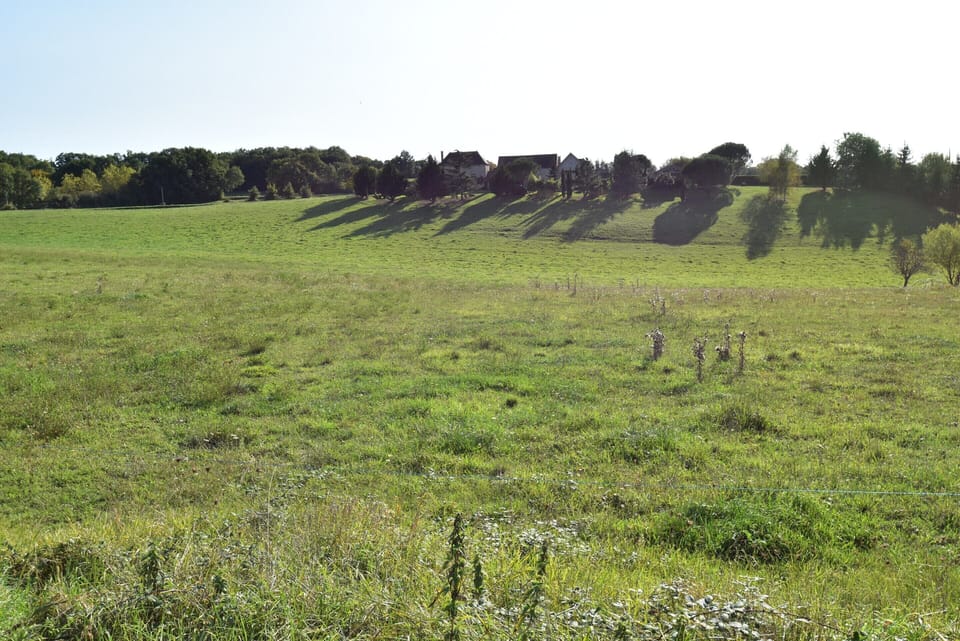 House | View from property