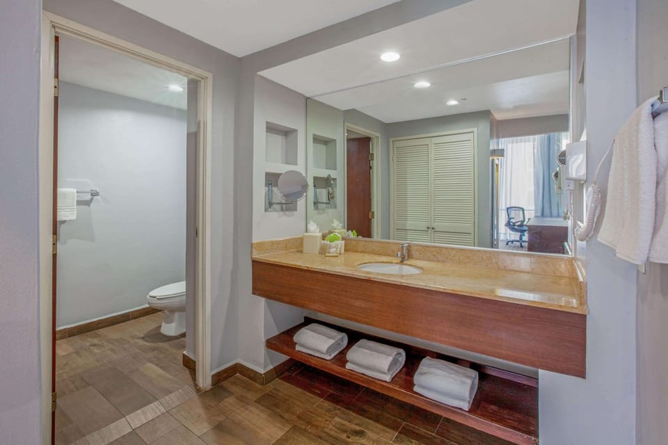 Suite, 1 King Bed, Non Smoking, City View | Accessible bathroom