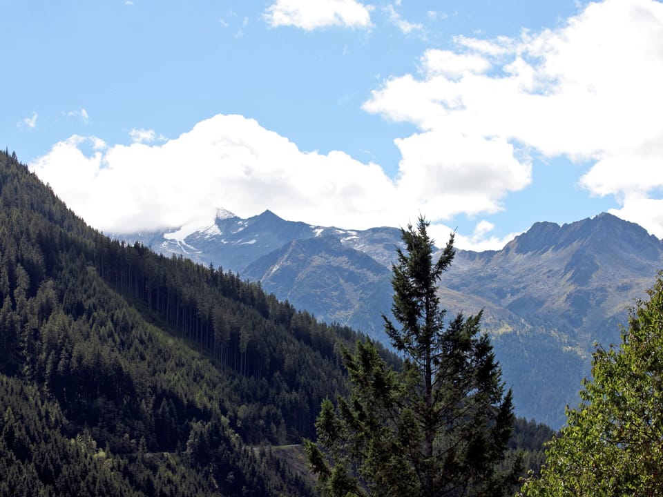 Chalet | View from property