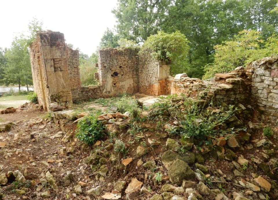 House | View from property