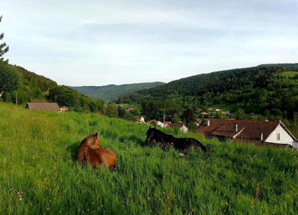 Chalet | View from property