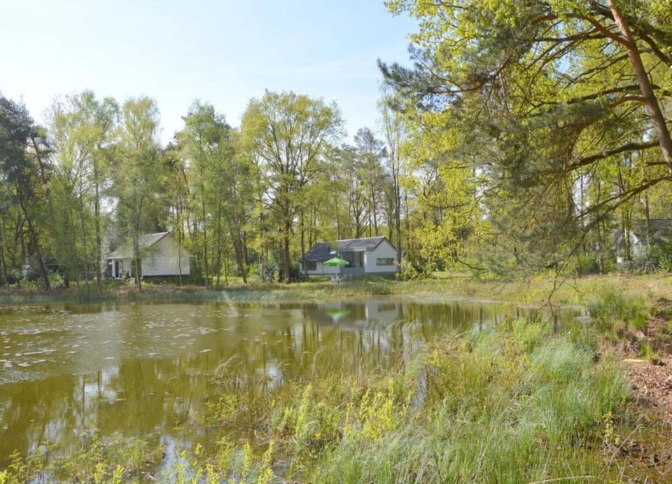 House | View from property