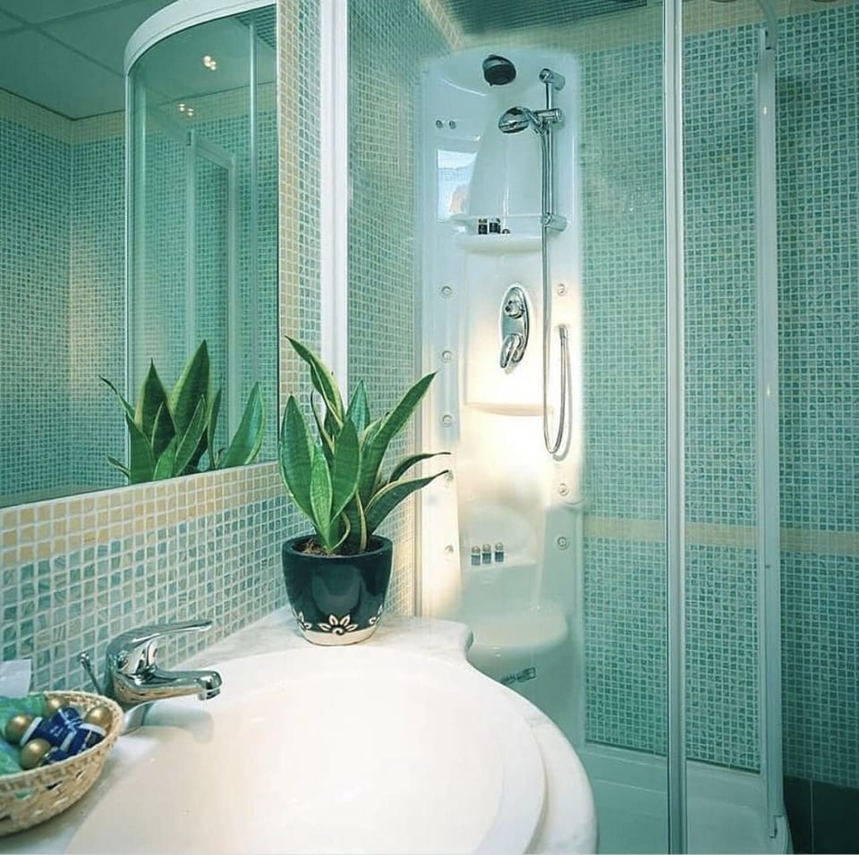 Hair dryer, bidet, towels, soap