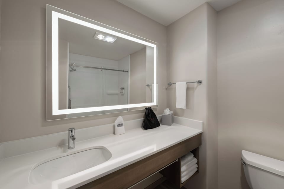 Combined shower/tub, free toiletries, hair dryer, towels