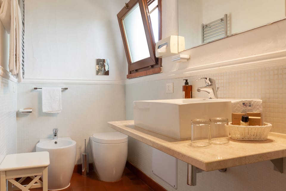 Deluxe Double Room | Bathroom | Shower, rainfall showerhead, free toiletries, hair dryer