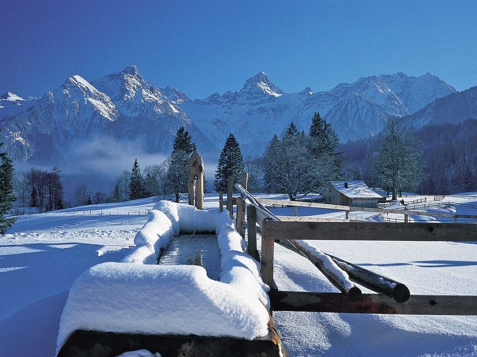 Chalet | Exterior
