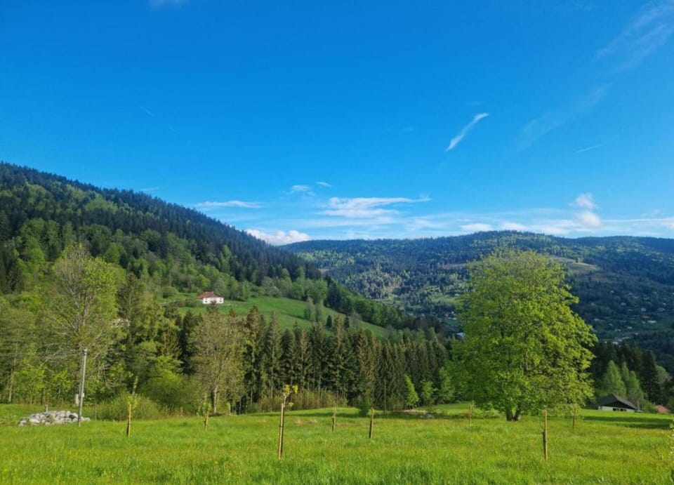 Chalet | View from property