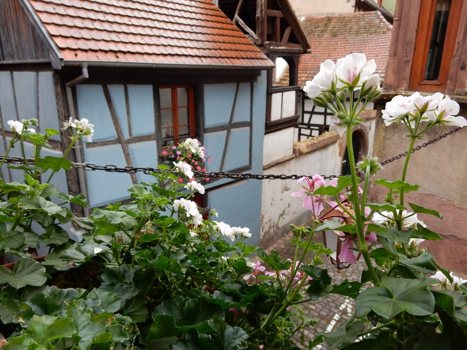 Apartment | View from property