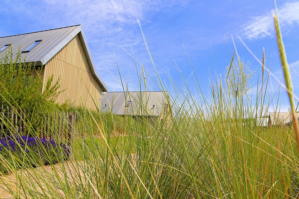 House | View from property