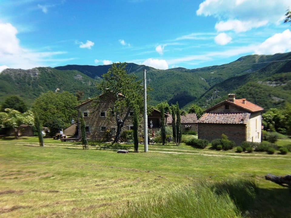 House | View from property