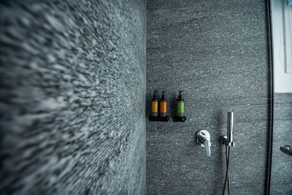 Deluxe Room | Bathroom | Shower, free toiletries, hair dryer, bathrobes