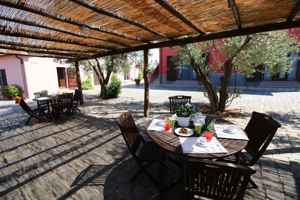House | Outdoor dining