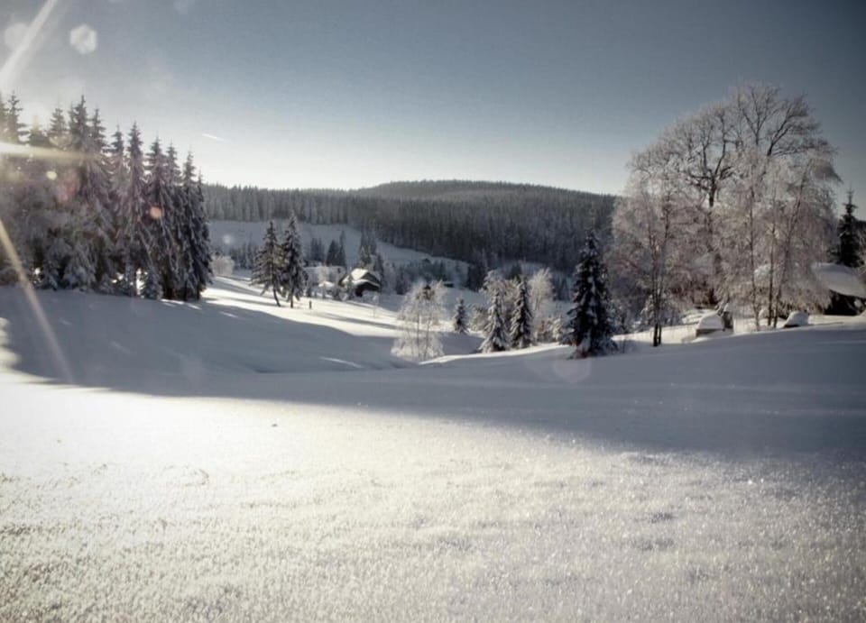 House | View from property