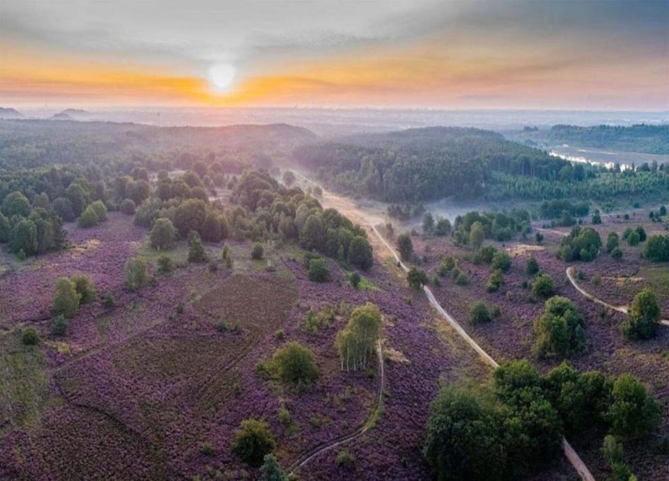 Chalet | View from property