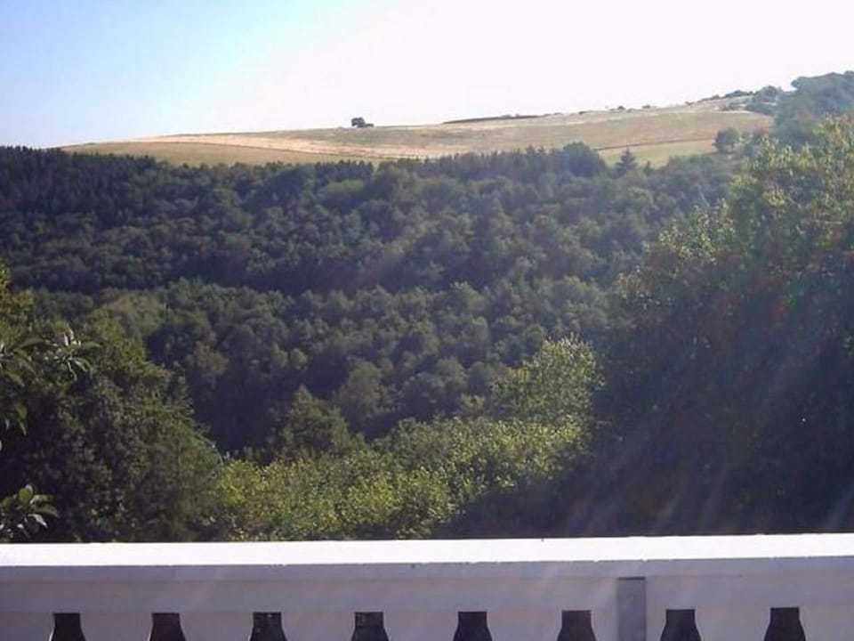 House | View from property