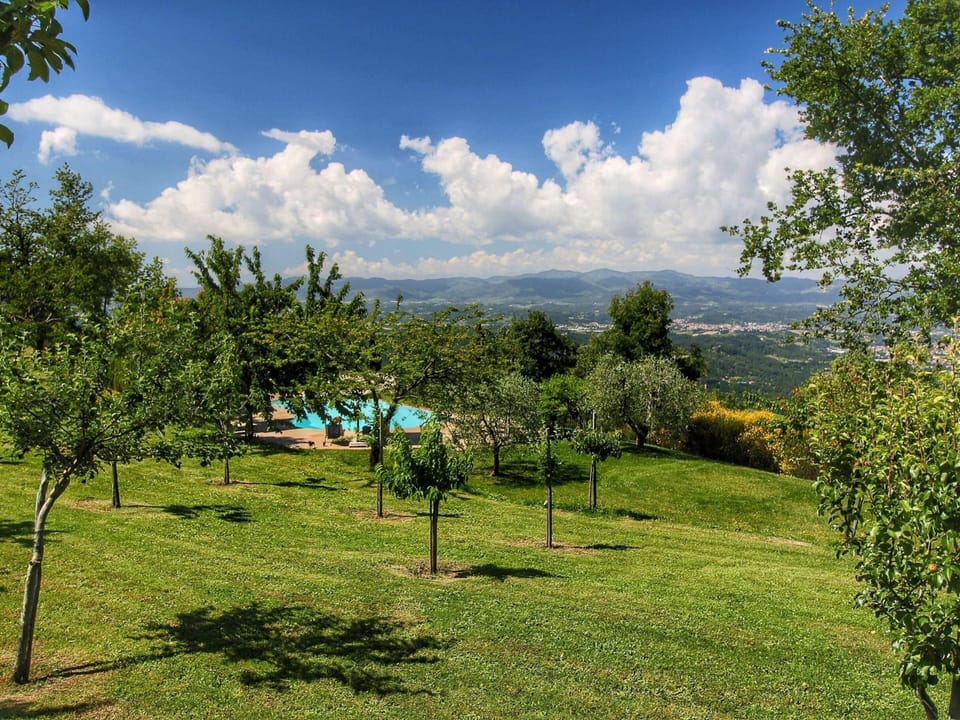 House | Pool | Outdoor pool