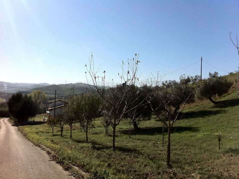 House | View from property