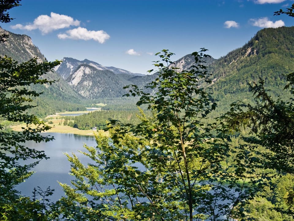 Apartment | View from property