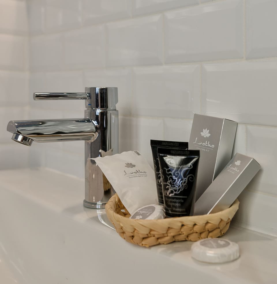 Double Room | Bathroom amenities | Combined shower/tub, rainfall showerhead, free toiletries, hair dryer