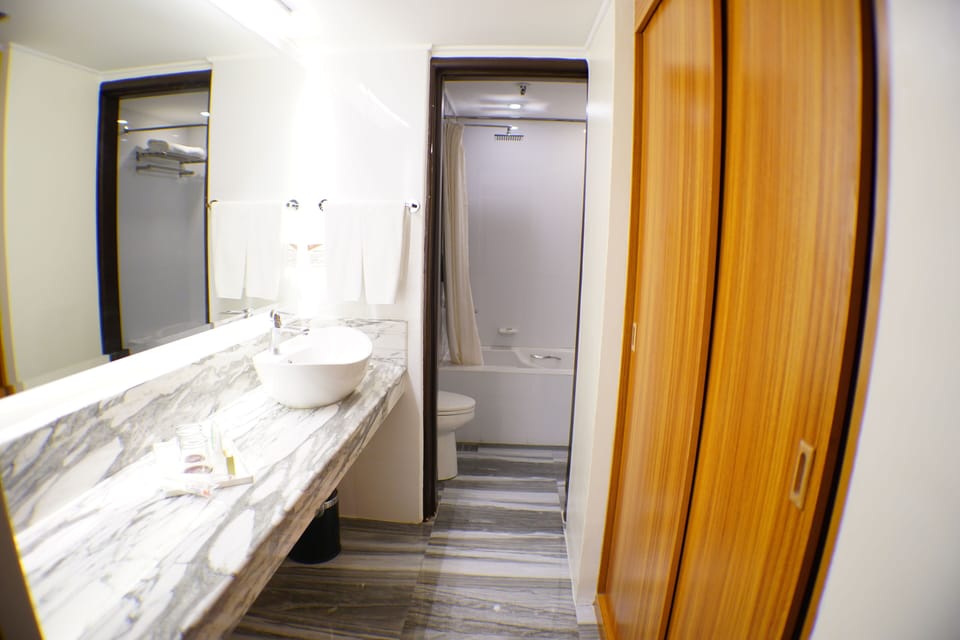 Premium Room | Bathroom | Shower, free toiletries, hair dryer, slippers