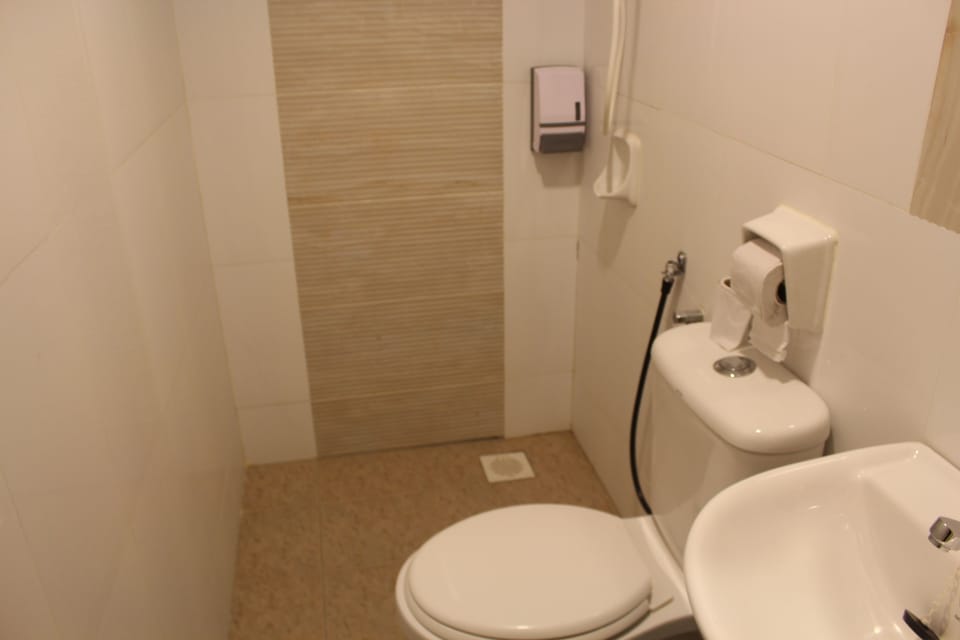 Shower, hair dryer (on request), bidet, towels
