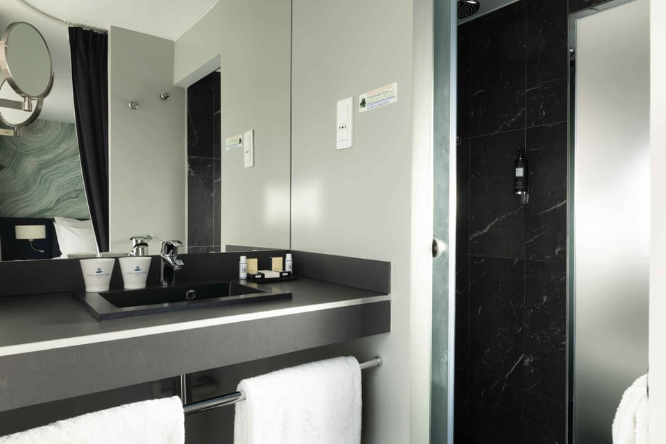 Deluxe Double Room | Bathroom | Shower, free toiletries, hair dryer, towels