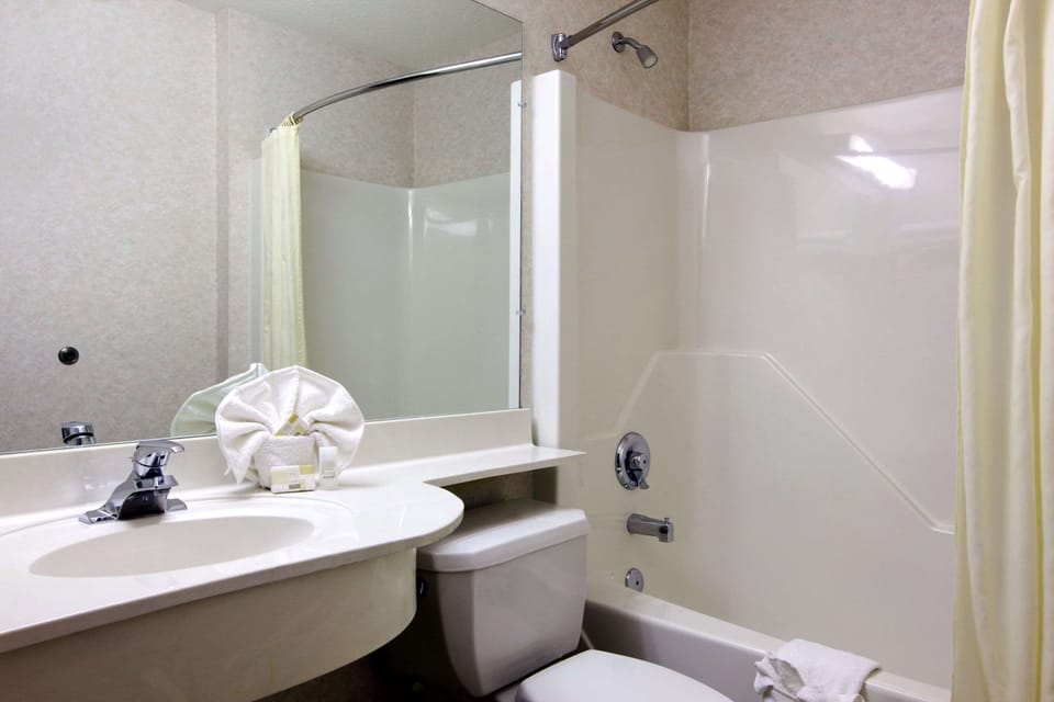 Combined shower/tub, free toiletries, hair dryer, towels