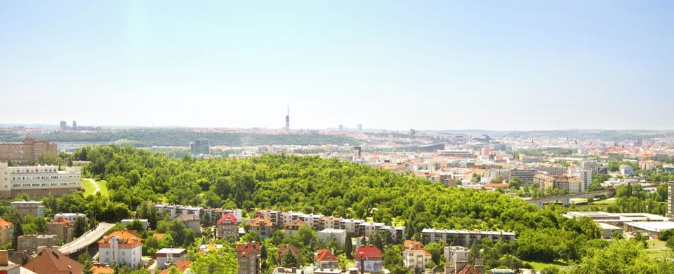 City view from property