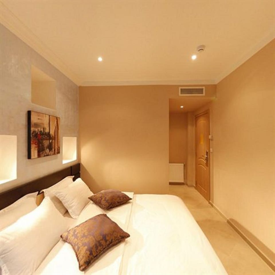 Deluxe Single Room | Minibar, in-room safe, desk, iron/ironing board (on request)