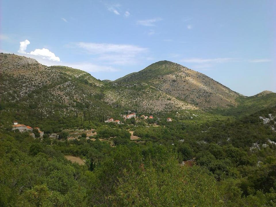 House | View from property