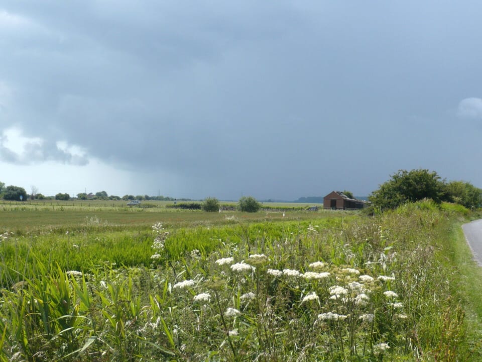 Cottage | View from property
