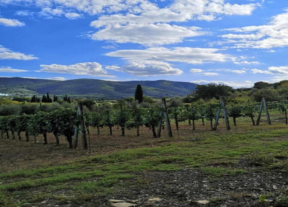 Villa | View from property