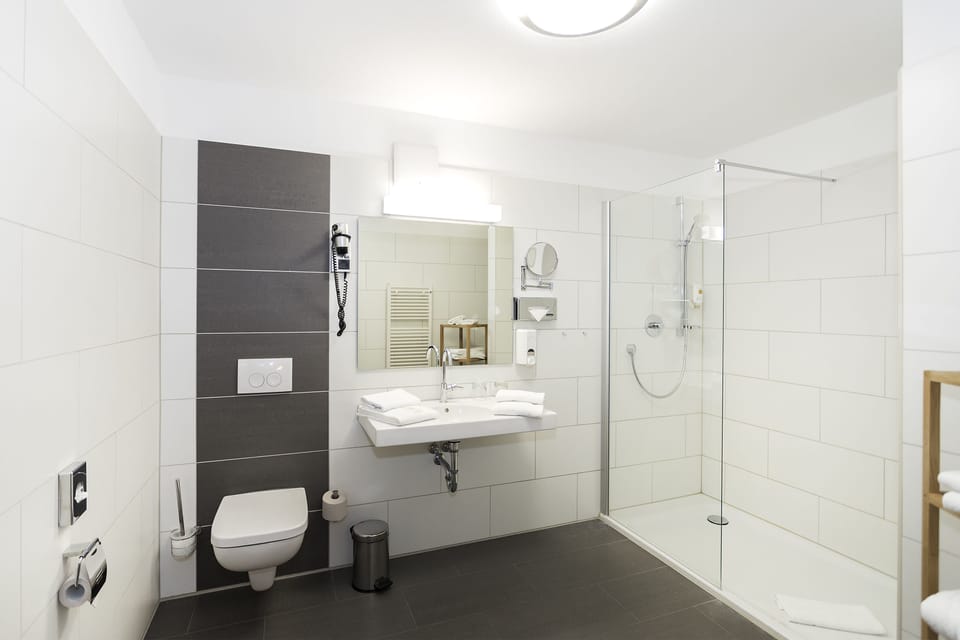 Shower, hair dryer, towels