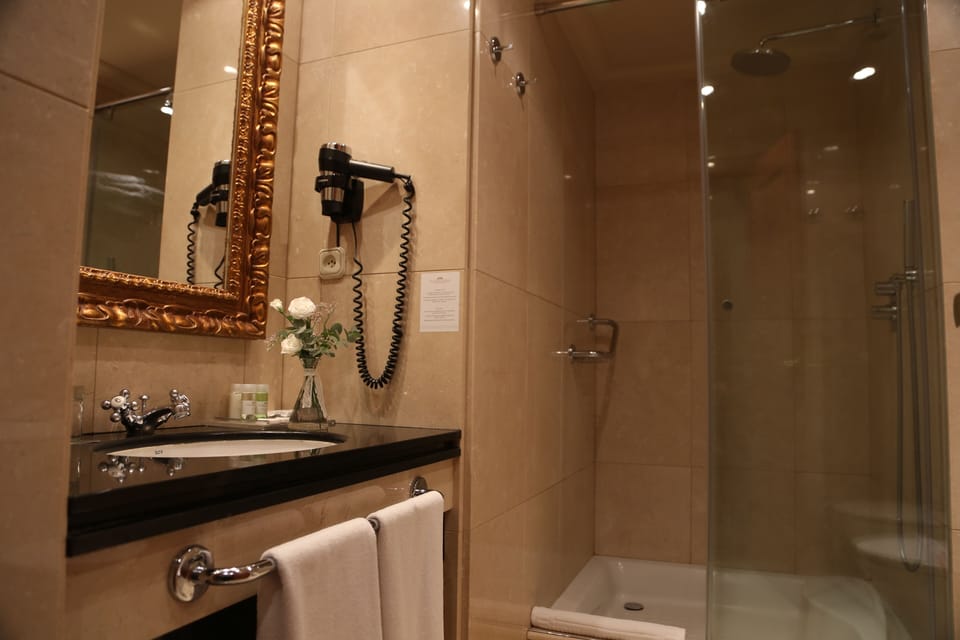 Combined shower/tub, hair dryer, bidet, towels
