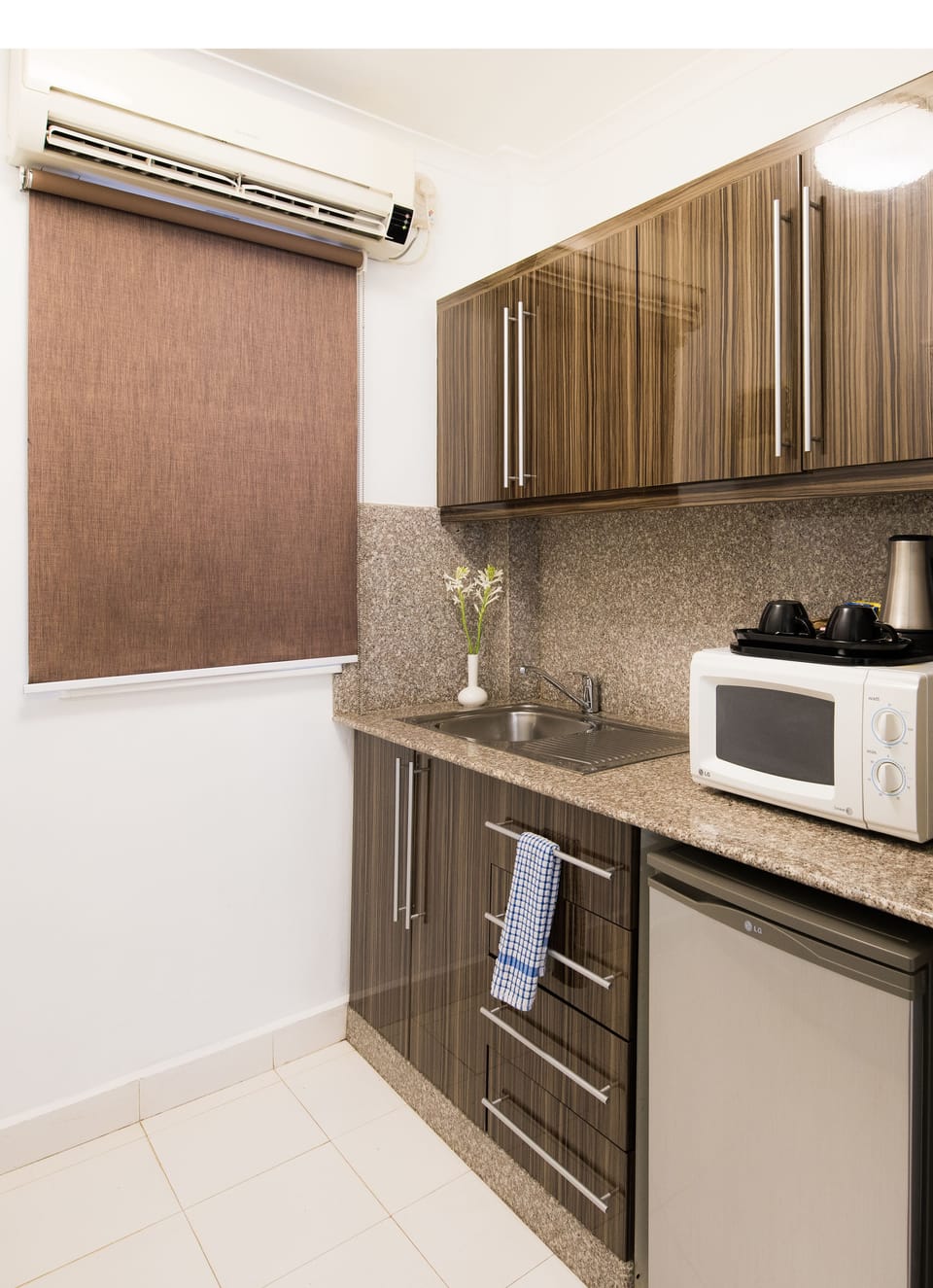 Fridge, microwave, coffee/tea maker, electric kettle