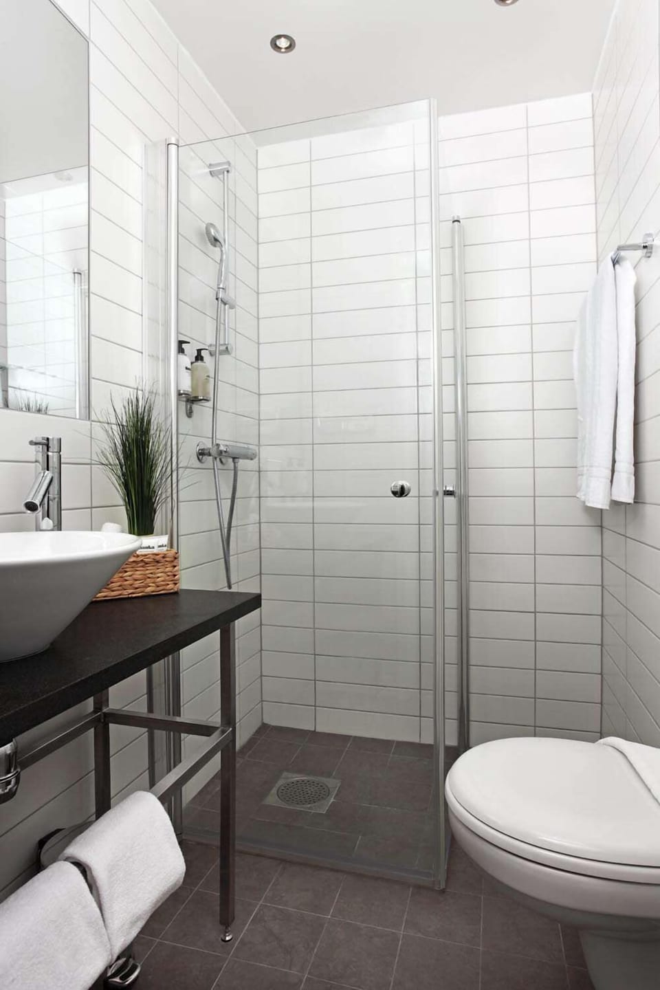 Free toiletries, hair dryer, towels