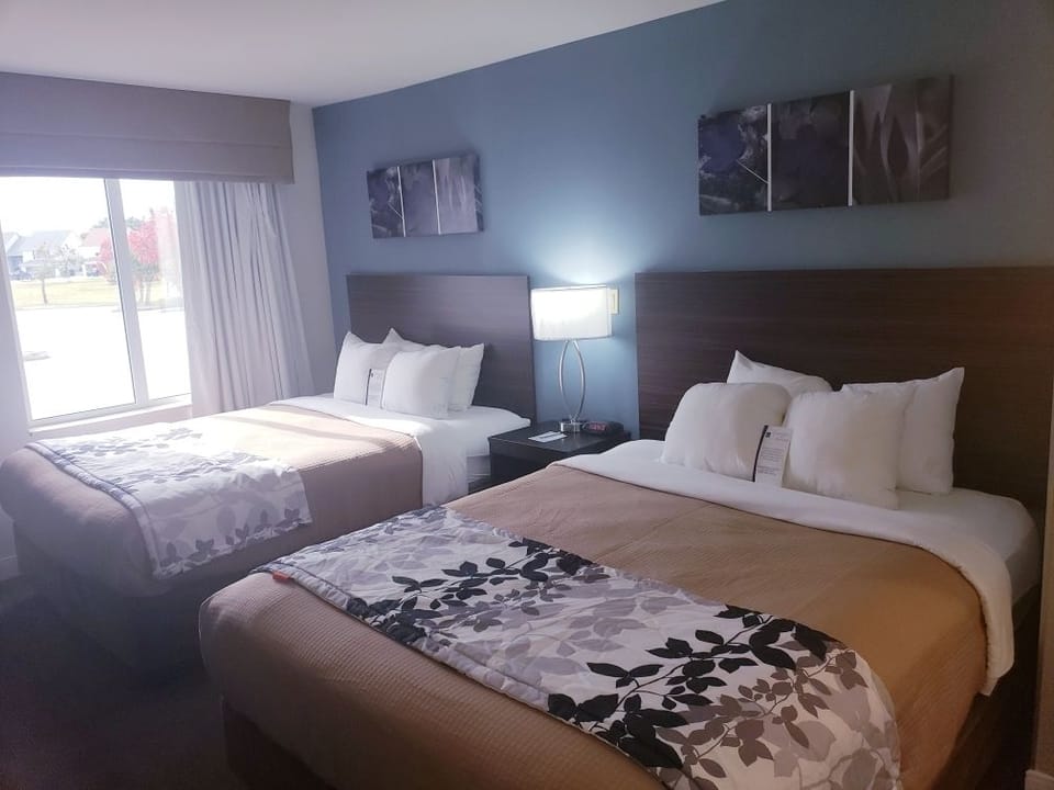 Standard Room, 2 Queen Beds, Non Smoking | Desk, iron/ironing board, free WiFi, bed sheets