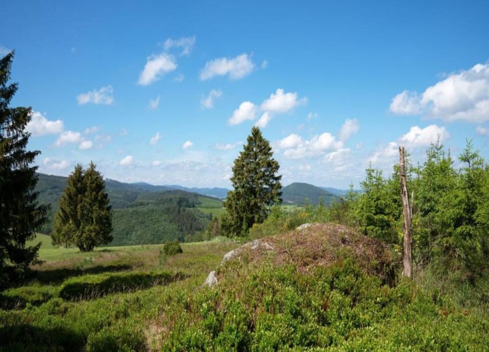 Villa | View from property
