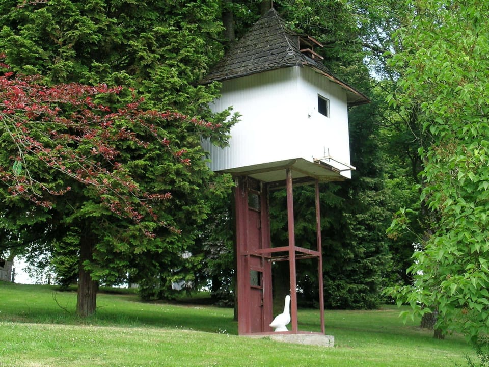 House | View from property